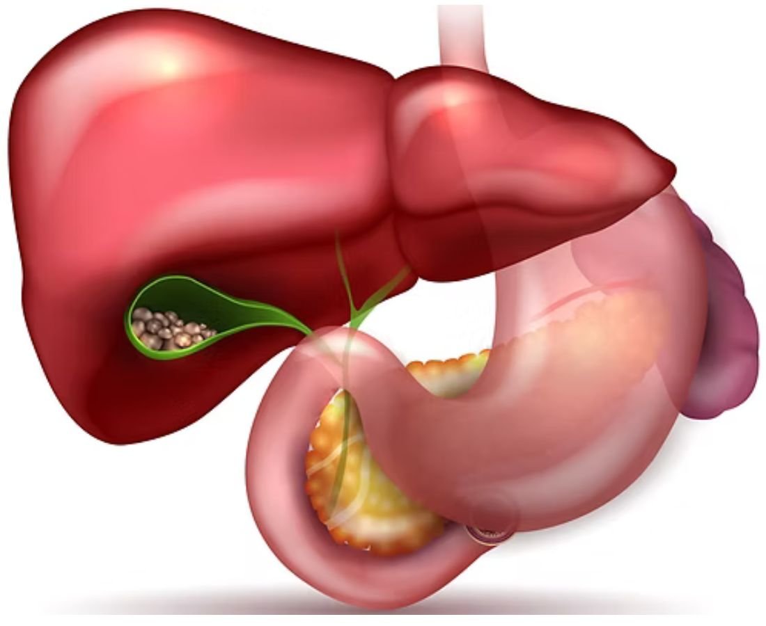 Gall Bladder